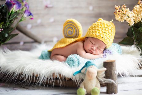 Chụp Ảnh Tết Bé Sơ Sinh